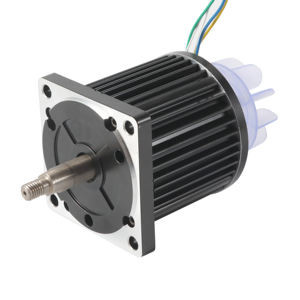 Motor sem escova alto de Bldc do poder superior do torque 110mm